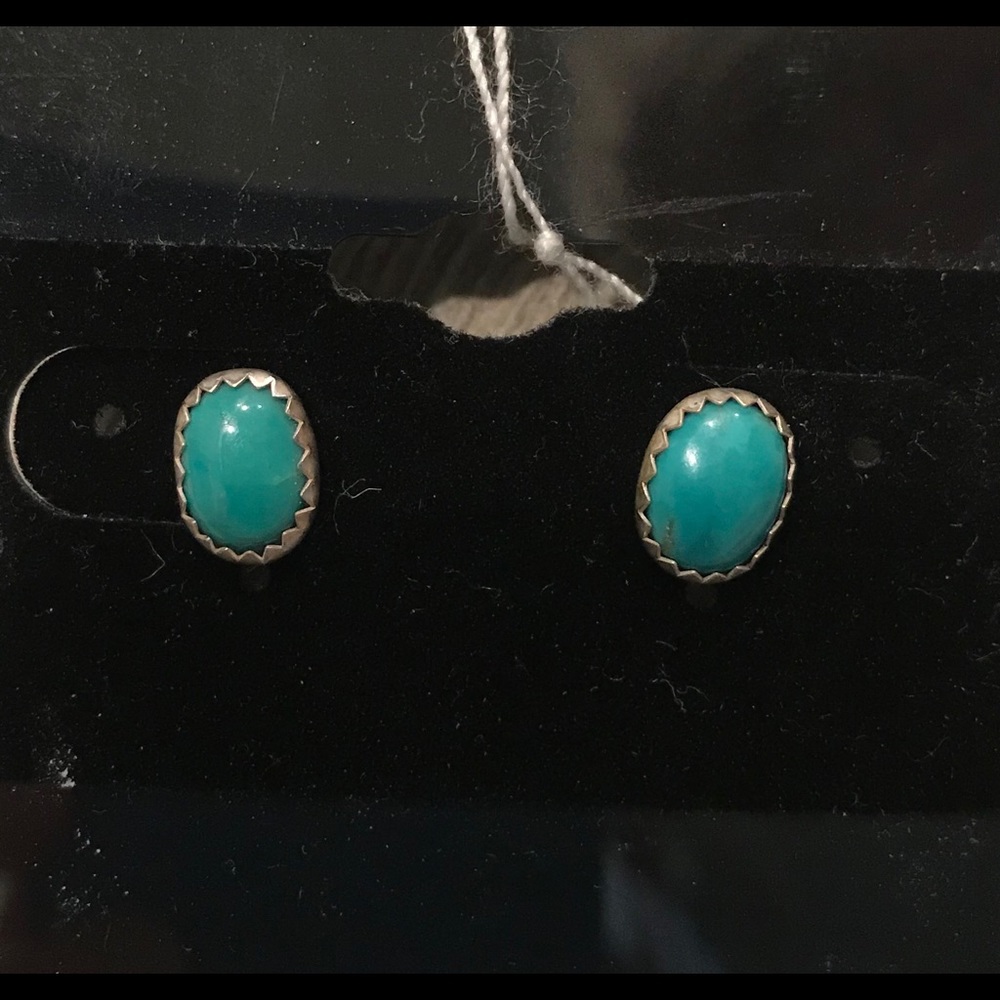 Turquoise Sterling and fine silver earrings